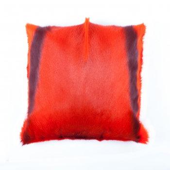 springbok cushion, orange